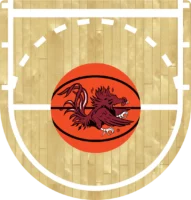 University of South Carolina Gamecocks +$200.00