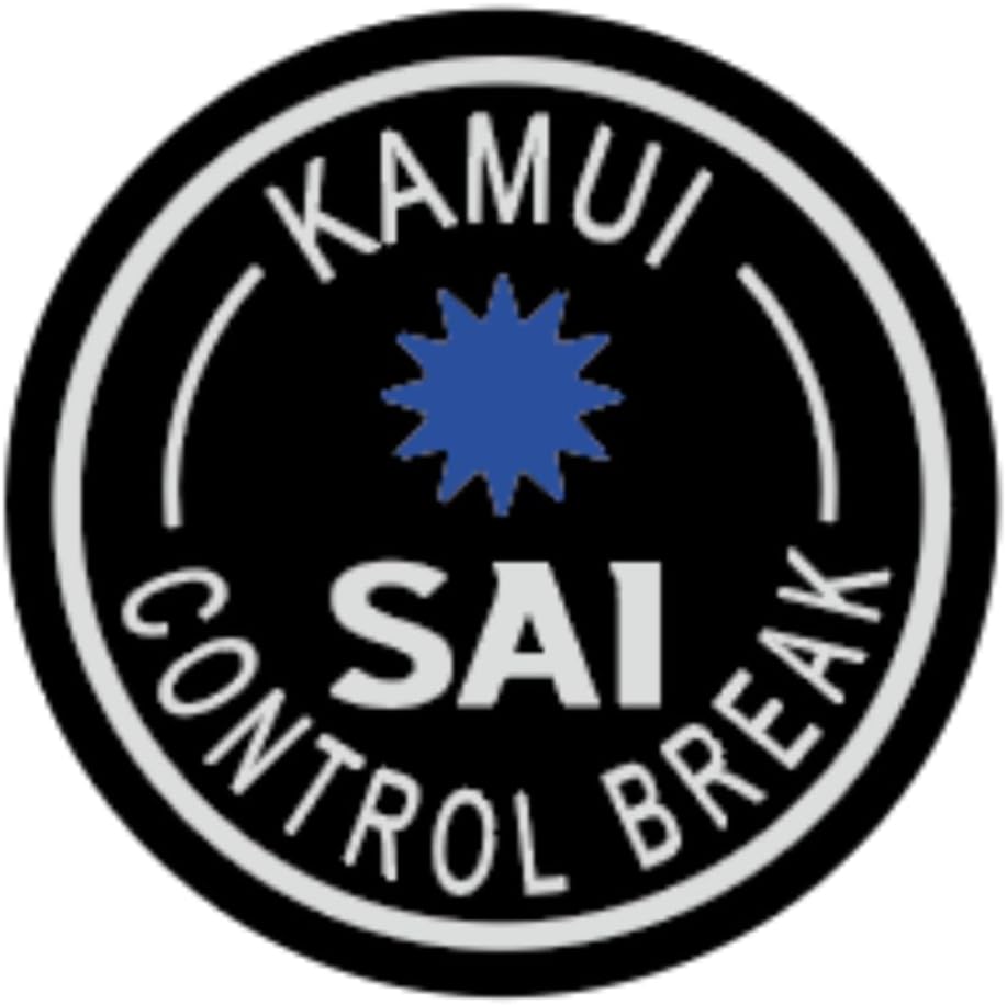 sai control break.jpg